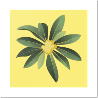 Loquat medlar flower in Autumn Posters and Art